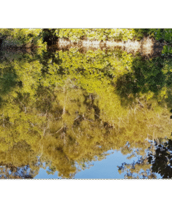 11c82561-5aac-4b30-a709-dd8f8ee8b821