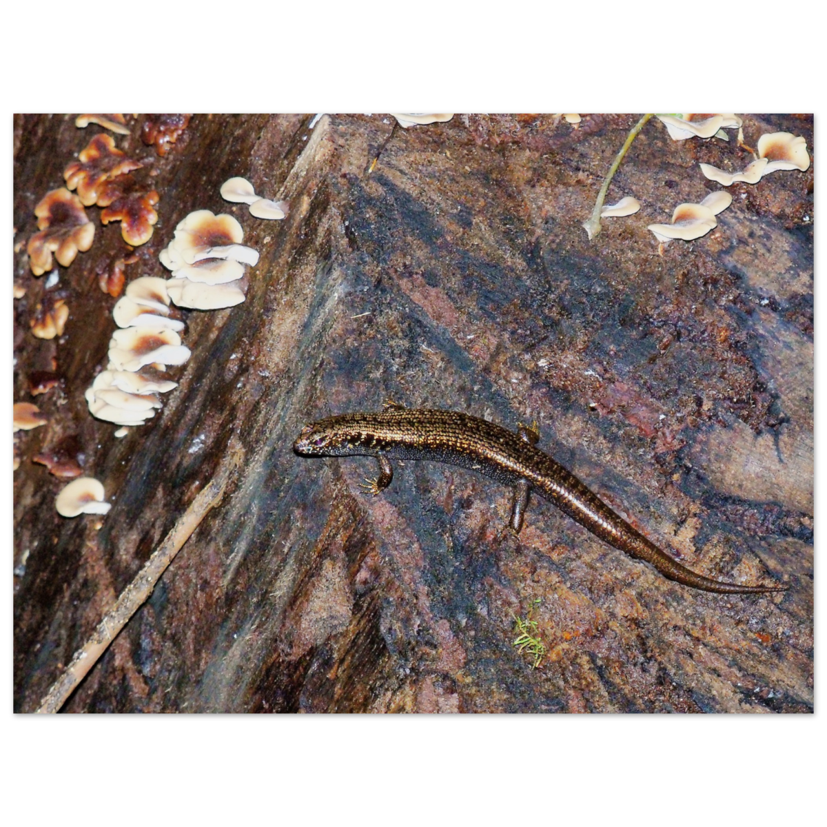 12e30fbd-ef18-49f5-b2b1-f0158e2997cd