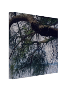 2bfa3d7d-adb6-4afa-a6d0-c095b2b531c1