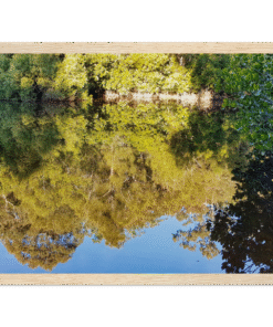 3aa31962-d04b-4a7f-a6a6-32c951fc6a29