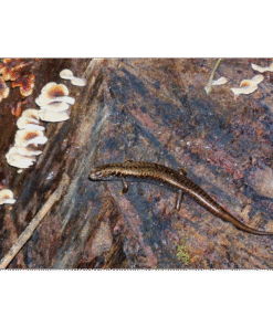 3f3b0e68-68a8-49f7-81a2-4a5be9dfa74c