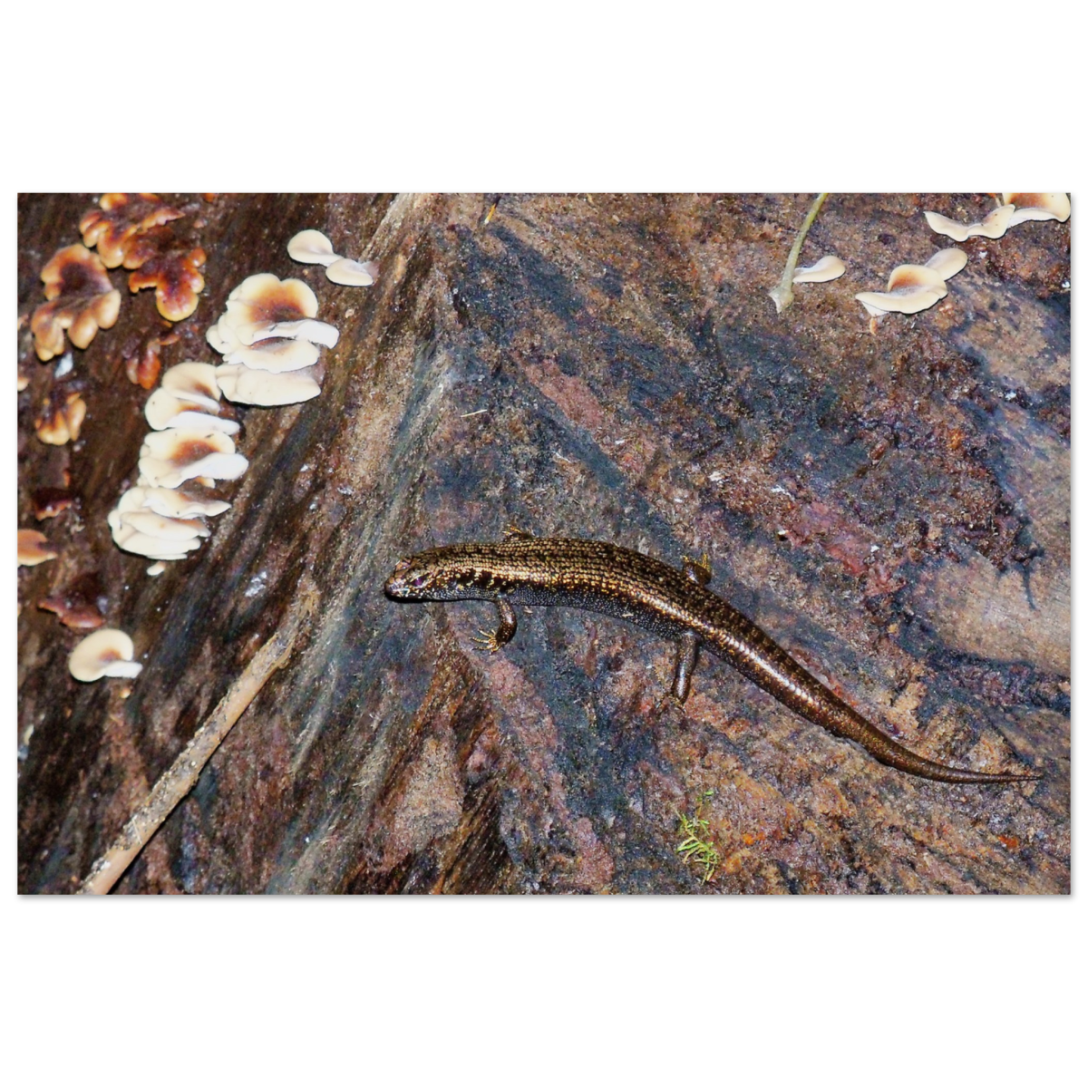 3f3b0e68-68a8-49f7-81a2-4a5be9dfa74c