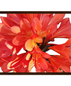 43d6d3fd-e131-422f-b830-0724668818f4