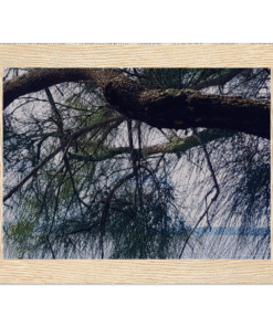 4c7385c1-bda9-4ea9-a71b-d4e82ee68fea