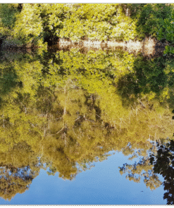 637dd77c-9e7c-4f9a-bc22-7343c8de32ef