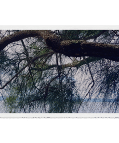 7276b1dd-c858-4cd9-a85c-7ff013df90a5