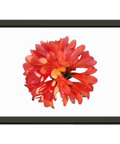 75d94522-3769-4a0d-8ed2-afd4e1a6e45e