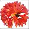 88bedffd-4430-4d64-9433-129f89ad927c