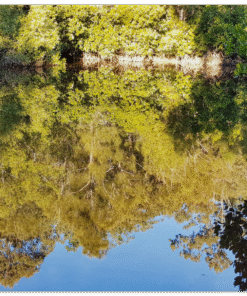 8e602c21-ef9e-461d-9487-d12f980bdbd0