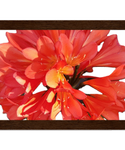 9fcd7022-9884-45dc-9b19-50564bec428d