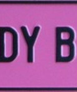 BUNDY BABE Novelty Number Plate