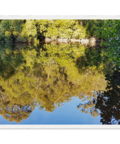 a49f2c6d-3701-469b-a42c-61df0874ade1