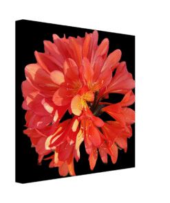 bee6c416-cb6c-4a3d-b295-287245431c08
