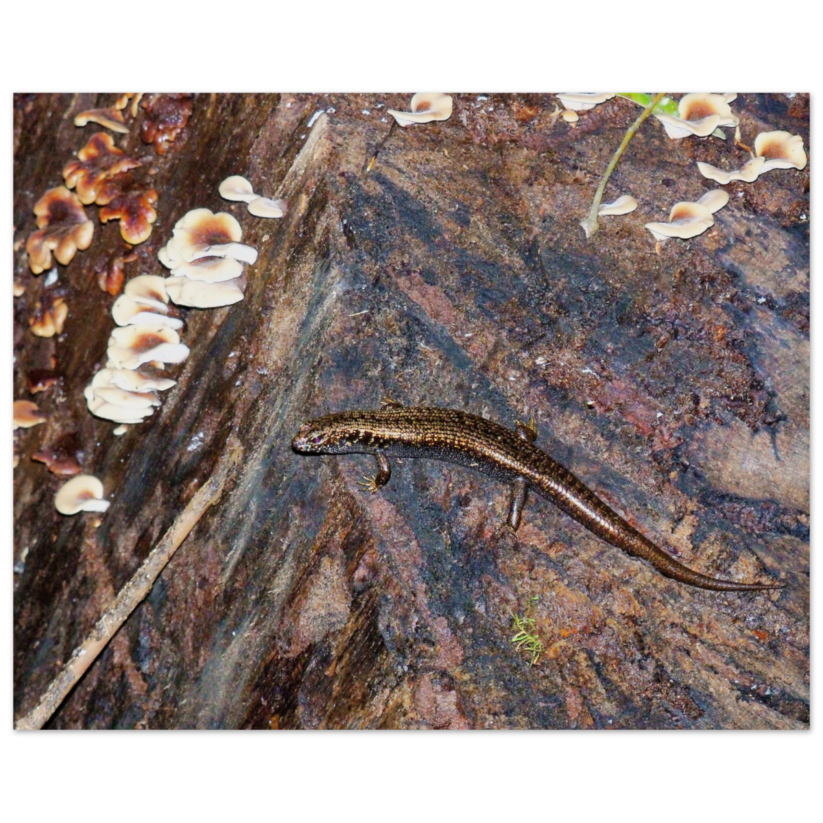 c4a1007e-e62a-4a57-9772-f79d848c2d01