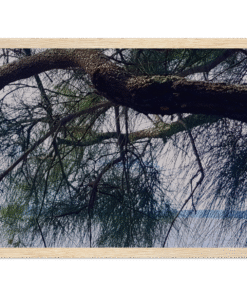 d156a984-4788-40ed-900d-8c7531841897