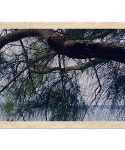 d36b41c6-1ec5-4628-8ce7-49036ebf740e