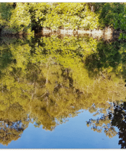 d394c9b0-167c-40fe-a9c7-34847e39a08e