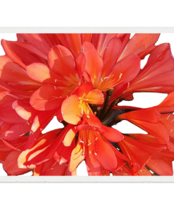 d8b67668-250b-4997-9aff-8ed59753569f