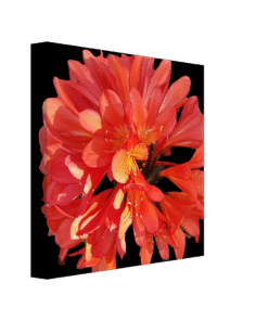 d93725fd-cdfe-4865-9c5a-d0cfe9ee6a46