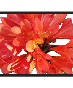 dfebcb7e-f1d5-40ae-a9ef-3edfbebea60a
