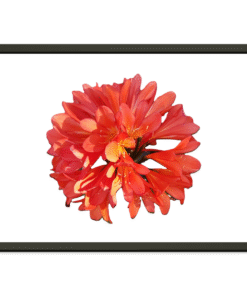 eb080c64-c437-4f6f-b96f-9395e8f266e1