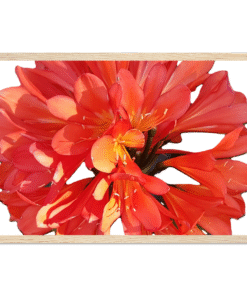 ec4fb584-c220-4d1e-83aa-7f63bc7a7732