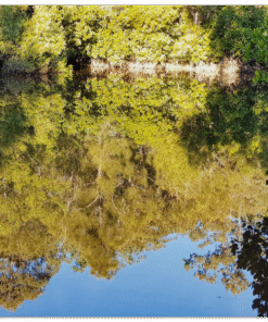 eee9cfec-7b1f-4b5a-a4a1-0af5c7b874fa