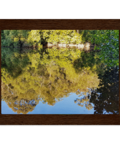 f6c936a6-4ee6-42ec-b0b3-e71bc8b94a48