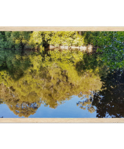 fbdcdb35-7278-45c3-b1fe-421a7609b645