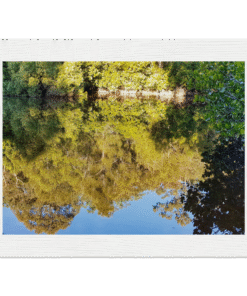 ff08c17d-b487-4530-a783-72b46d01e6a4