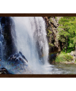 00765f82-2c44-4668-b10b-a48018e48851