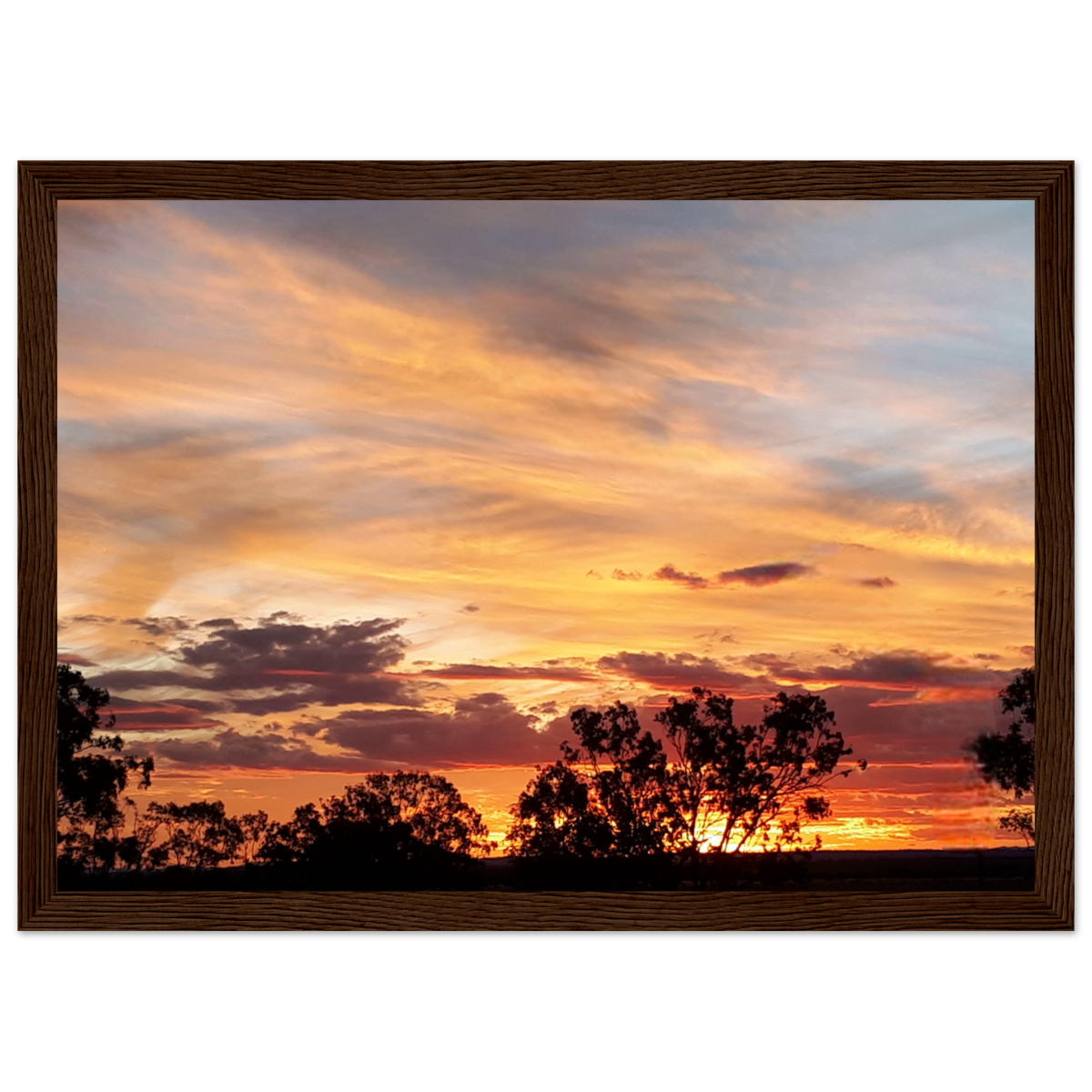 07da9c66-bb7e-46f0-888e-9639e6f1494a