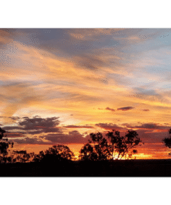 09e5f1a4-ea04-4cdd-9abb-24c4becc473b