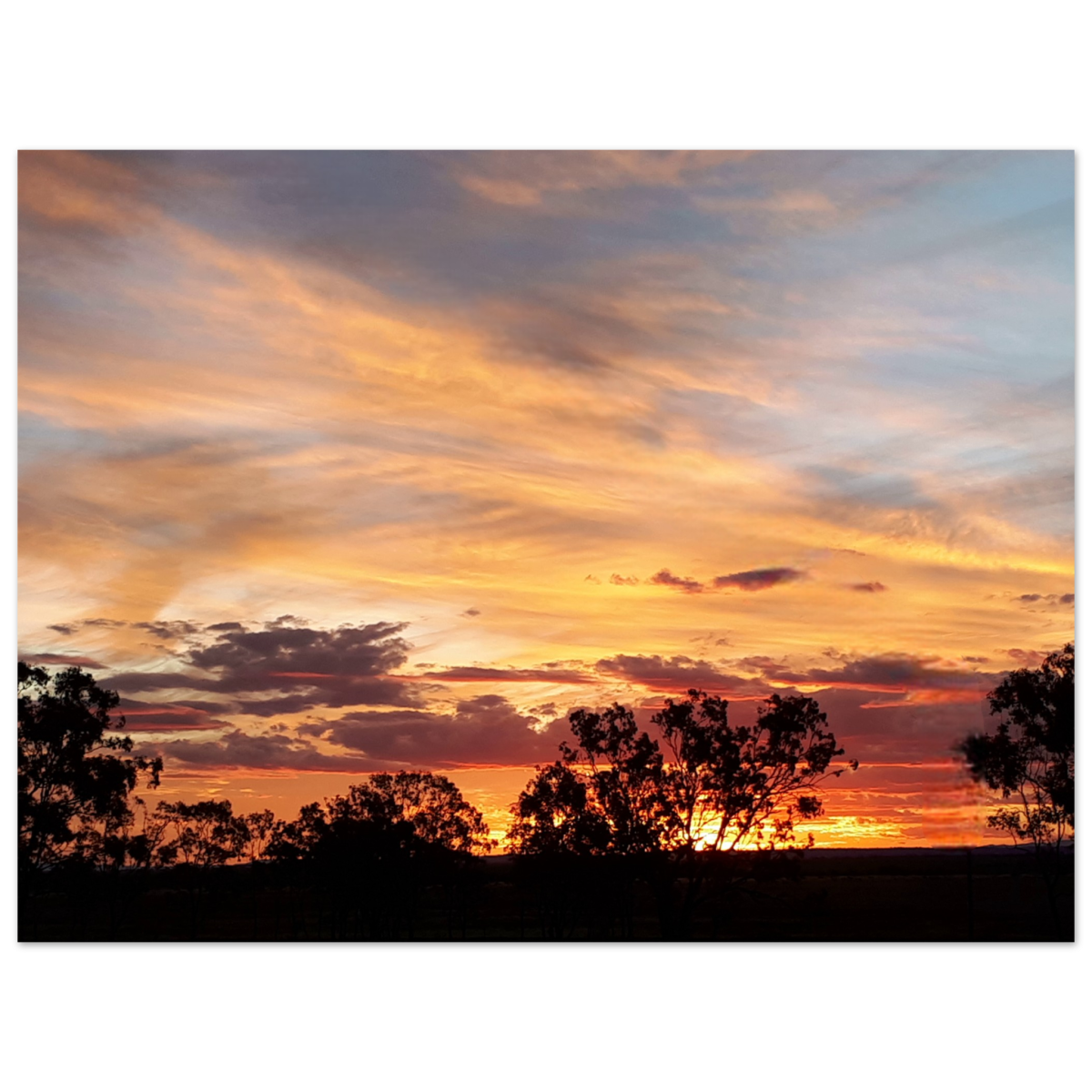 09e5f1a4-ea04-4cdd-9abb-24c4becc473b