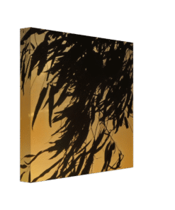 0c64adeb-812a-4ce9-964b-ed0be4eab159