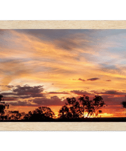 0cb31303-5975-4f0d-bc2e-afb9cf4e7bae