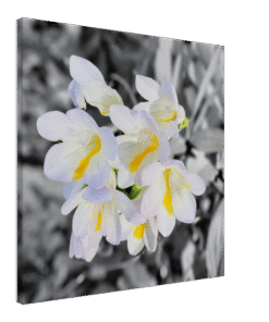 0dcba65b-24a0-4fae-ae00-7a1426cf87c7