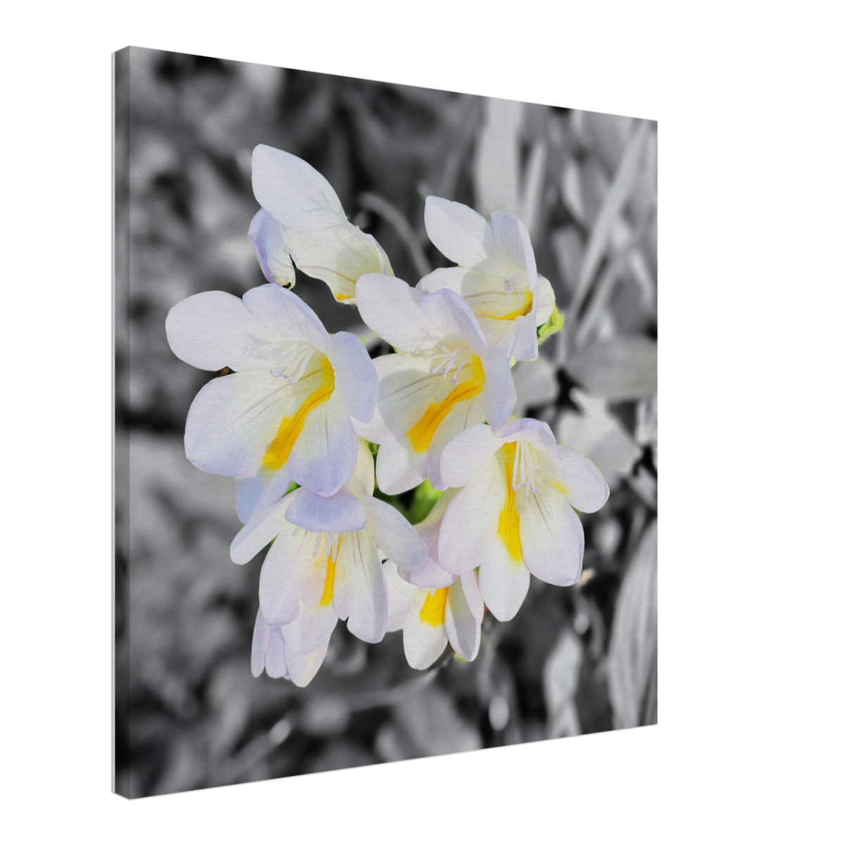 0dcba65b-24a0-4fae-ae00-7a1426cf87c7