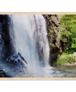 15424dc7-ad61-4b9c-ba2c-39fcd079f38f