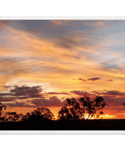 1bb93ef0-aaa6-4345-bdd0-37404af8231c