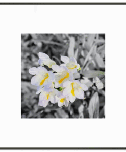 1e1bcdc6-0983-49e9-81d9-496d7a94641d