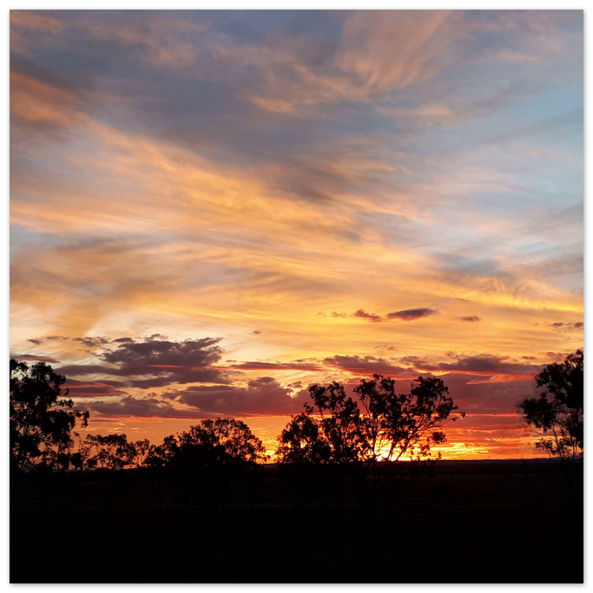 2391dd64-db91-4667-aea0-281f8310da67