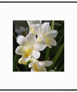 27e09781-1d54-4260-9076-b0cb234927cd