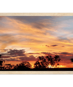 337e4691-8208-4459-aeb9-3825ab17e157