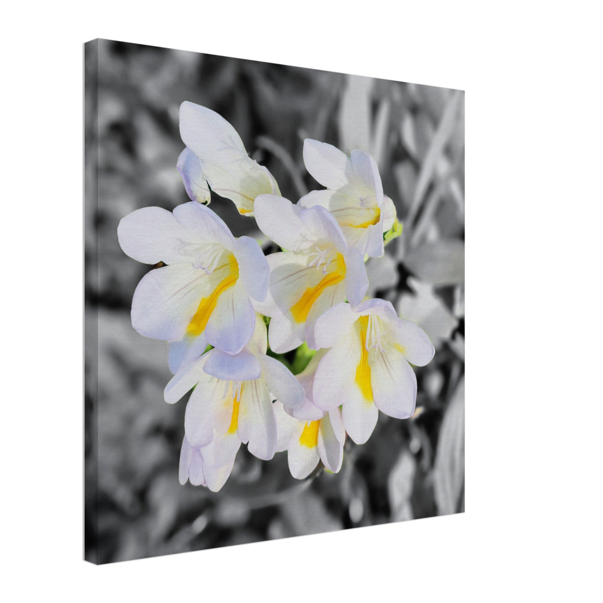 338fc2de-9847-4134-8923-e661be69b2f9