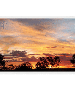 3b64cd8c-0456-4438-8154-c0971d412740