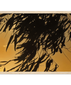3d2721d8-14fb-49bd-b445-2a62289d9fa4