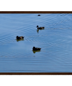 42795db2-41f6-41e2-9748-255deded1a74