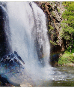 441fa4ce-bd78-4148-a6e0-1e790a3a902e