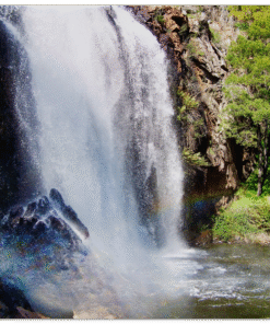 46619fd4-19b3-4f4d-9f46-6e8c4d64e55c